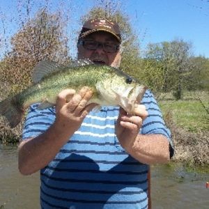 Meet your Posher, Ken